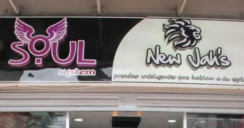 NEW JAH`S STORE NEW JAH`S STORE